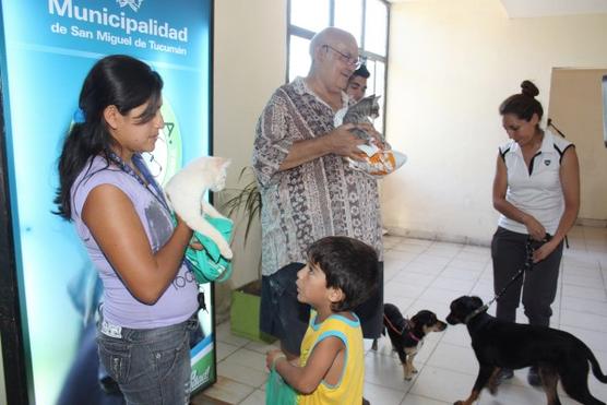 La veterinaria municipal