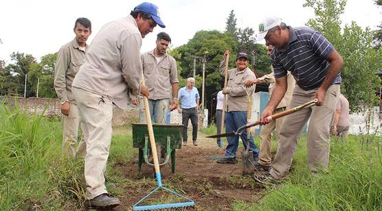 Limpieza en Campo Norte