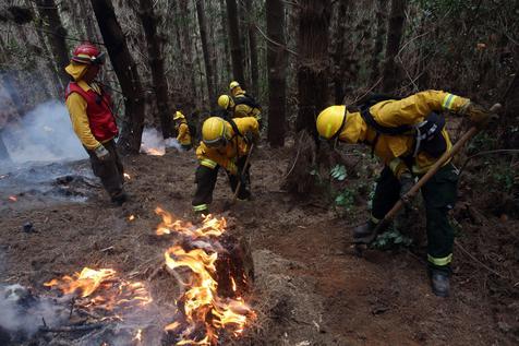 Bomberos chilenos en acción