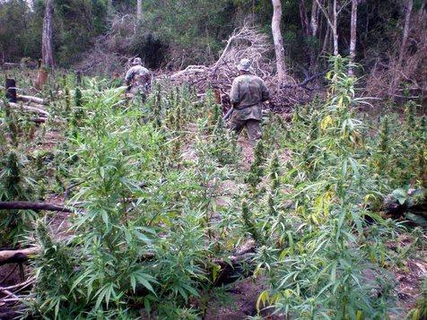 El combate al narcotráfico en la frontera