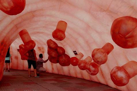 Un colon gigante para despertar conciencia sobre el cáncer