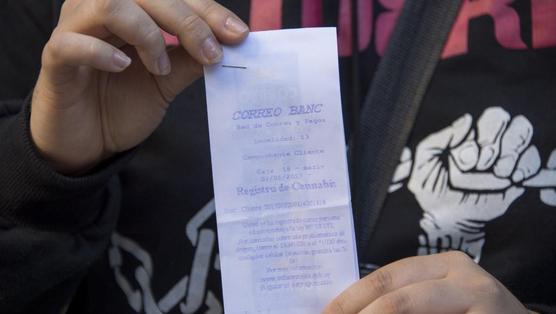 Comprobante de anotación en el registro de compradores de marihuana