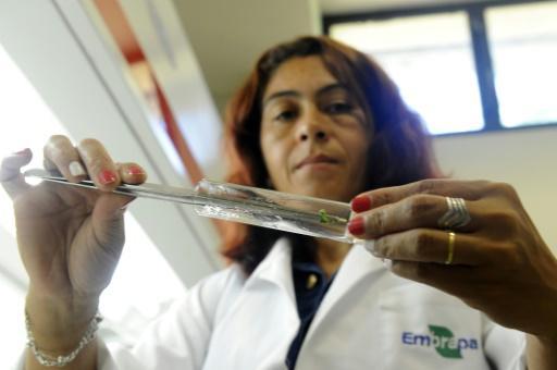 Cientifica en laboratorio genético