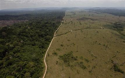 Deforestación de la amazonia