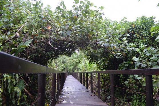 Cahuita en el caribe tico