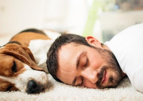 Beneficios de compartir el cuarto con el perro 