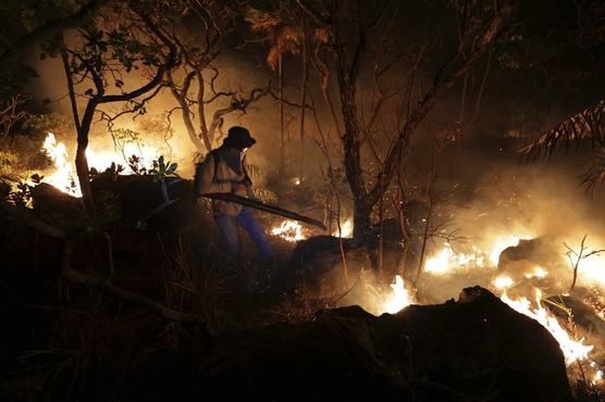 El incendio forestal