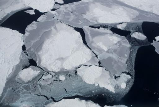 Hielo marino desde el avión de investigación de la NASA en la región de la Península Antártica 