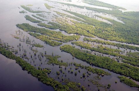 La riqueza del Amazonas colombiano bajo estudio (foto: ANSA)