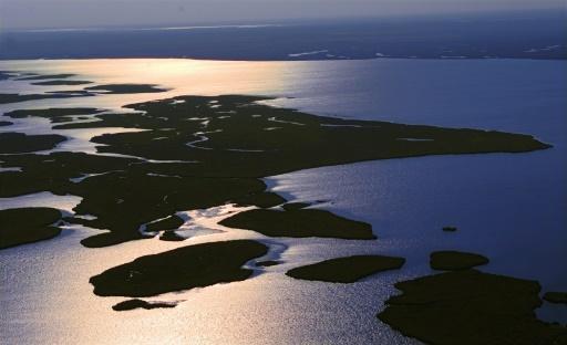 Humedales Esteros de Iberá, en la provincia argentina de Corrientes