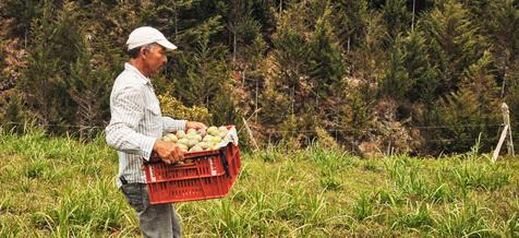 El pequeño productor rural, pieza clave (foto: Ansa)