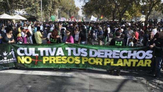 Los carteles pidiendo marihuana en libertad