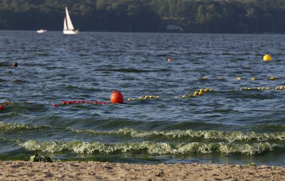 Las aguas de la reserva Zegrze se ven verdes por el crecimiento de la cianobacteria