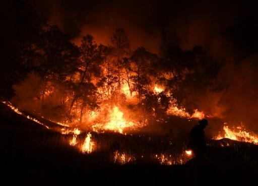 Incendios forestales 