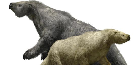 Comparación del Megatherium americanum y el Megatherium filholi.