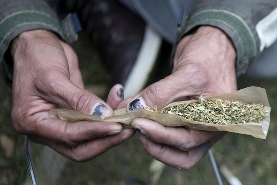 Armado de cigarrillo de marihuana