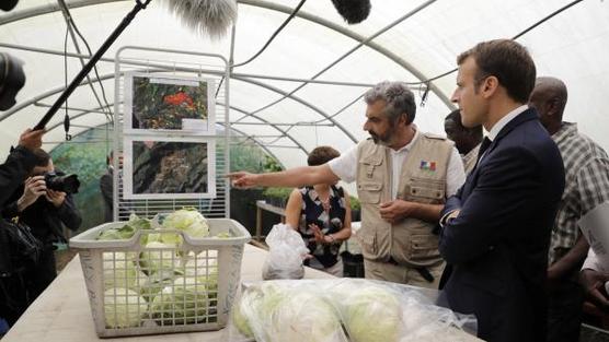 Macron en una granja contaminada con clordecona en Martinica