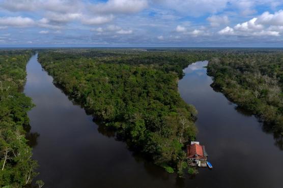 El Amazonas y sus riquezas