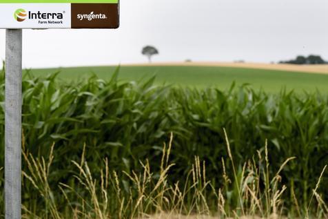 Agronegocios serán la prioridad de Brasil (foto: ANSA)