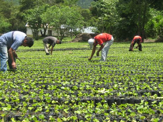 Pequeños productores agropecuarios