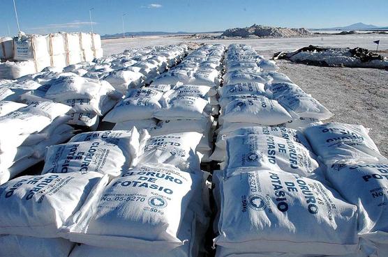 Litio y potasio, la planta entre Bolivia y China