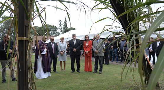 Manzur lanzó la zafra