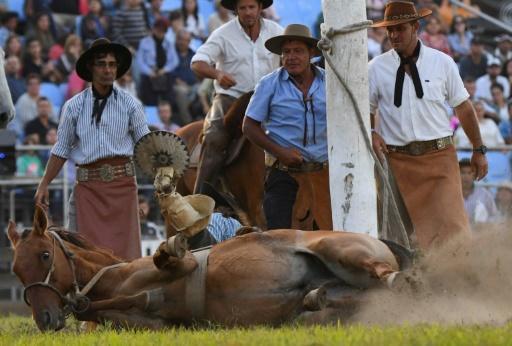 Un jinete se desploma junto a su caballo