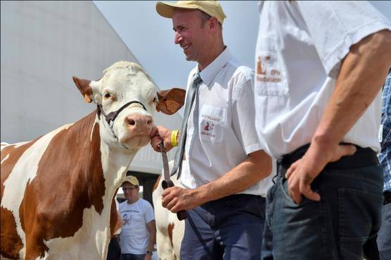 Feria agrícola de Libramont, en Bélgica