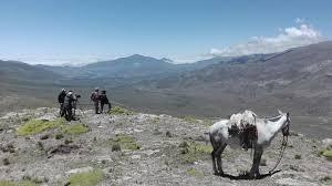 Hoy se estrena en Cinear