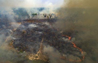 Las llamas devoran terrenos que fueron deforestados recientemente por ganaderos cerca de Novo Progresso, en el estado de Pará,