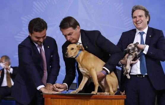 Bolsonaro cuida a su perro