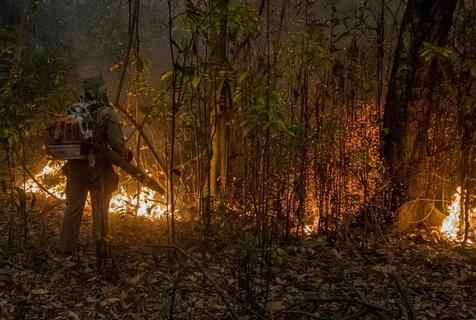 Incendios forestales en Paraguay (foto: EPA)