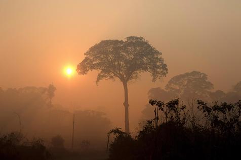 Amanecer en el Amazonas brasileños, la bruma del humo de los incendios en el contraluz (foto: ANSA)