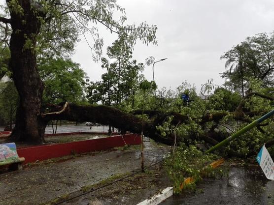 Plaza Alberdi, tras el temporal. Foto: Leonardo Ganzburg