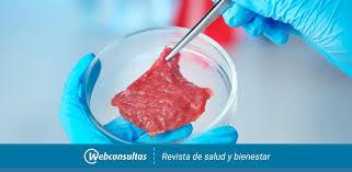 Carne artificial a partir de celulas animales