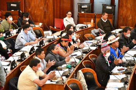 Los diputados del MAS impusieron el número