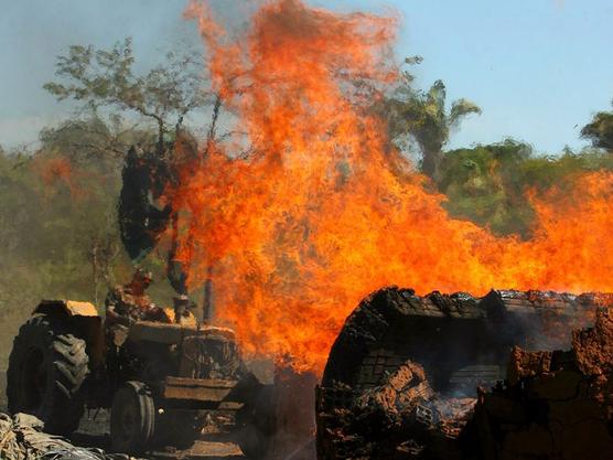 Se eliminan bosques para sembrar soja