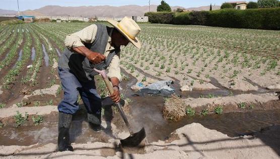 Ahora necesitan convencer a los trabajadores rurales