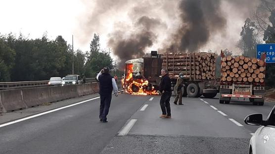 Los camiones transportaban madera sacada de la zona mapuche