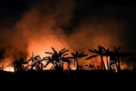 Incendios en la Amazonia (foto: ANSA)