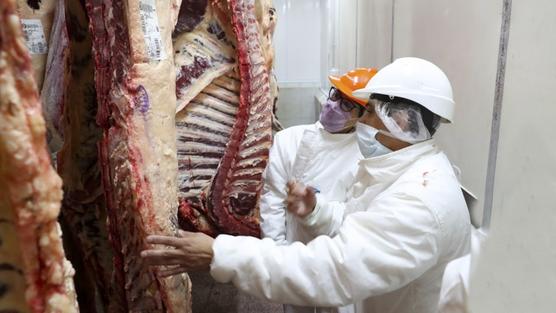 El aumento acumulado interanual de la carne se ubicó en el 76%, casi 30 puntos por encima del índice inflacionario.