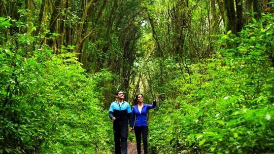 Caminatas en vacaciones