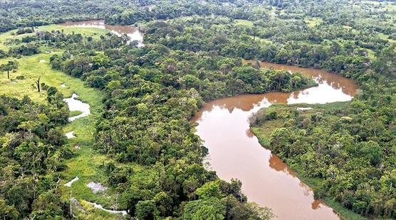 Vista panorámica de parte de la amazonia