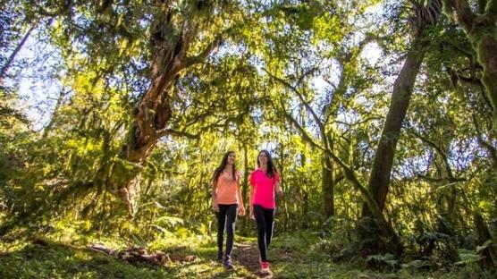 Caminatas al aire libre