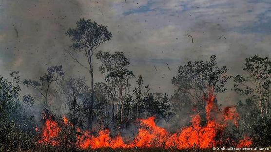 La Amazonia prendida fuego