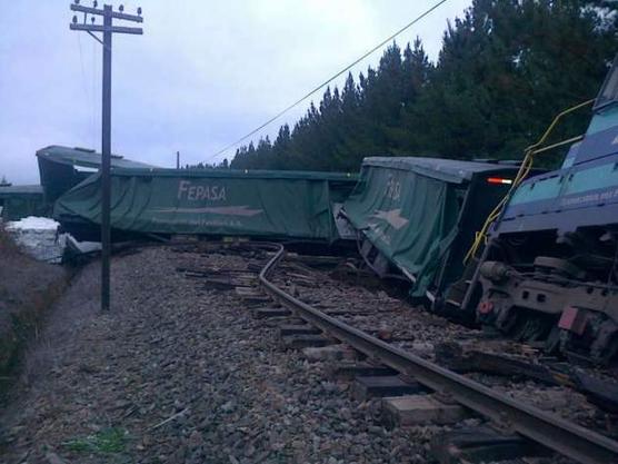 Tren de carga descarrilado