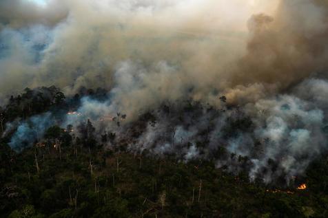 Incendios en la Amazonia (foto: AFP)