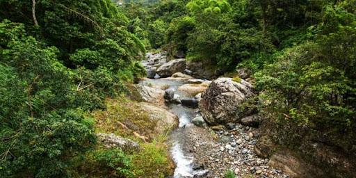 Quebrada de Los Sosa en la subida a los valles