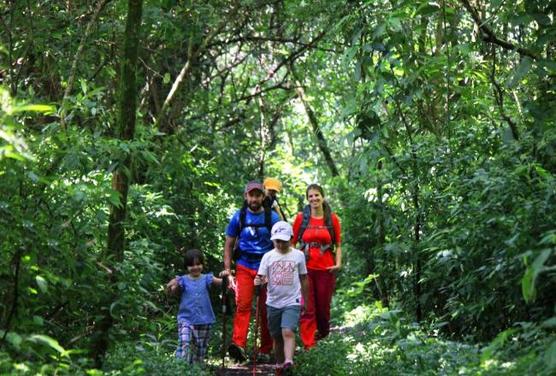 caminata familiar bajo la sombre de los arboles en la densidad de Las Yungas