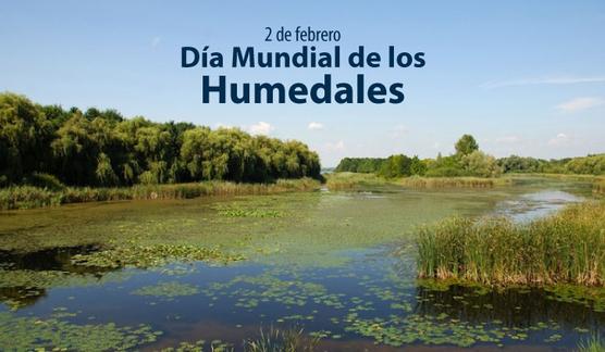 Humedales